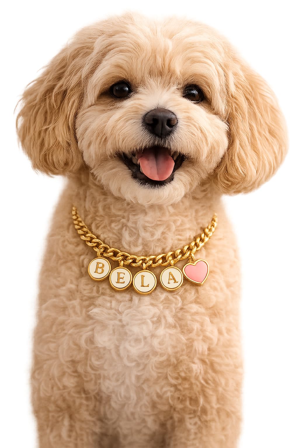 Personalized Pet Name Necklace for Dogs & Cats | Custom Pet Name Charm Necklace | Adjustable Gold Plated Pet Jewellery | Customized Gift for Pet Lovers-image-6