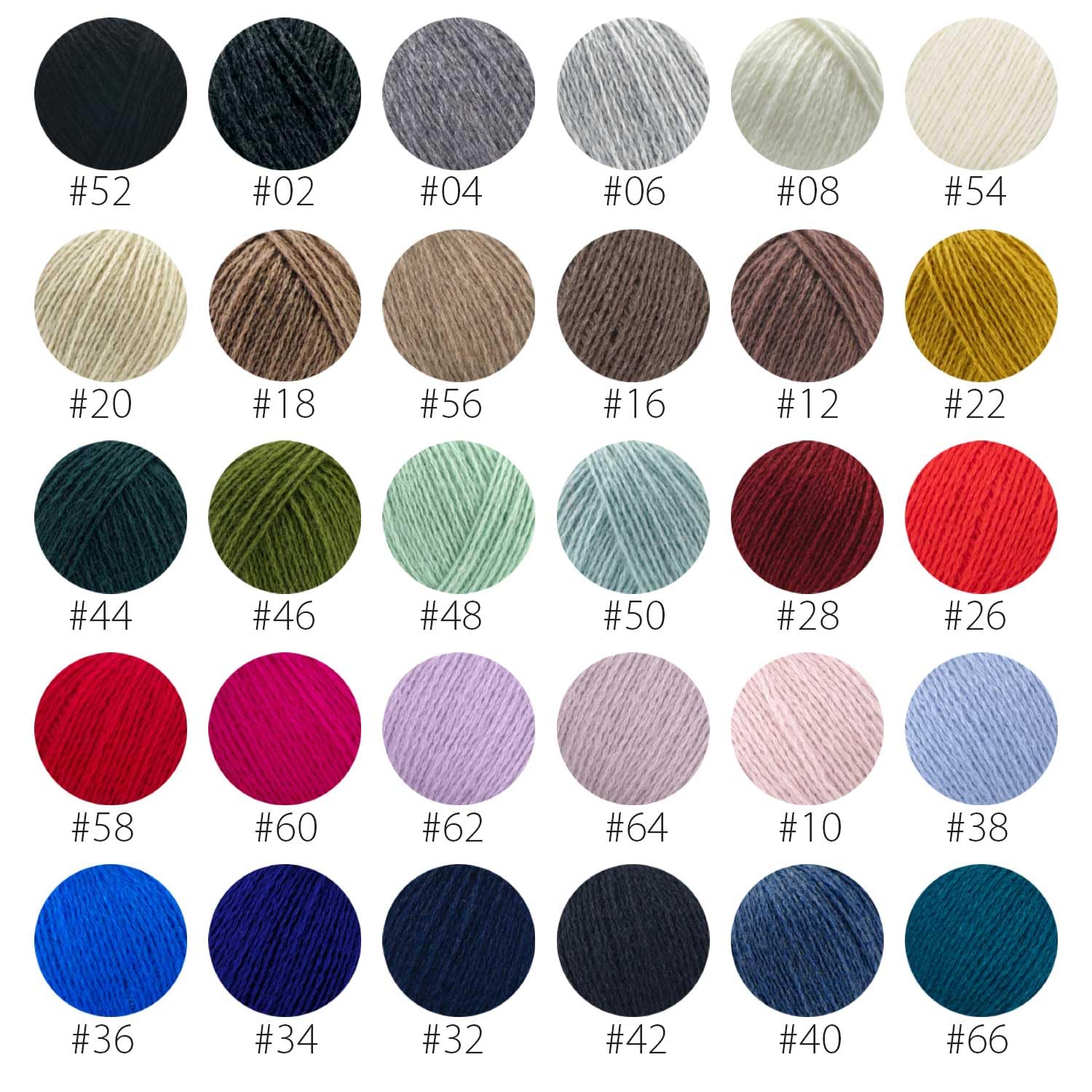 PASCUALI | Bio Cashmere Lace - Gomitolo di lana 100% cashmere per lavorare a maglia e all'uncinetto, set da 4 gomitoli, 100 g, colore: fucsia 60