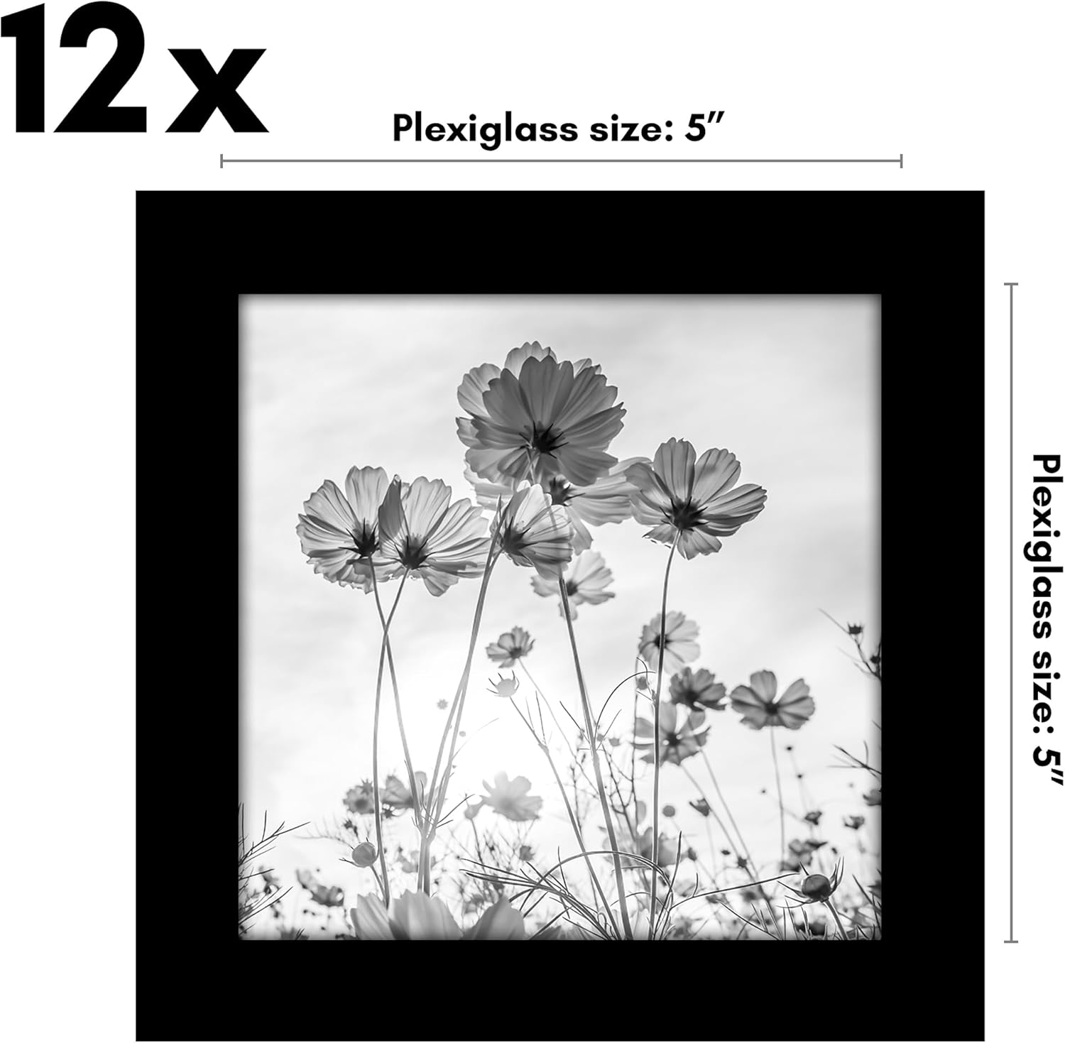 Americanflat 5x5 Picture Frame with Polished Plexiglass - Set of 12 - Signature Collection - Picture Frames with Engineered Wood - Square Frame for Tabletop and Wall Display - Black