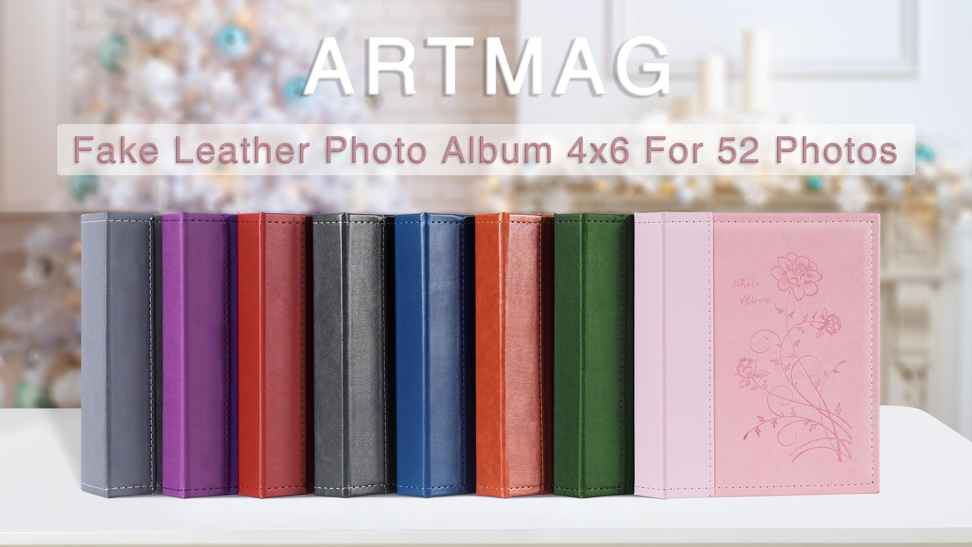 Amazon.com: Artmag Small Photo Album 4x6 2 Pack, Each Pack with 26