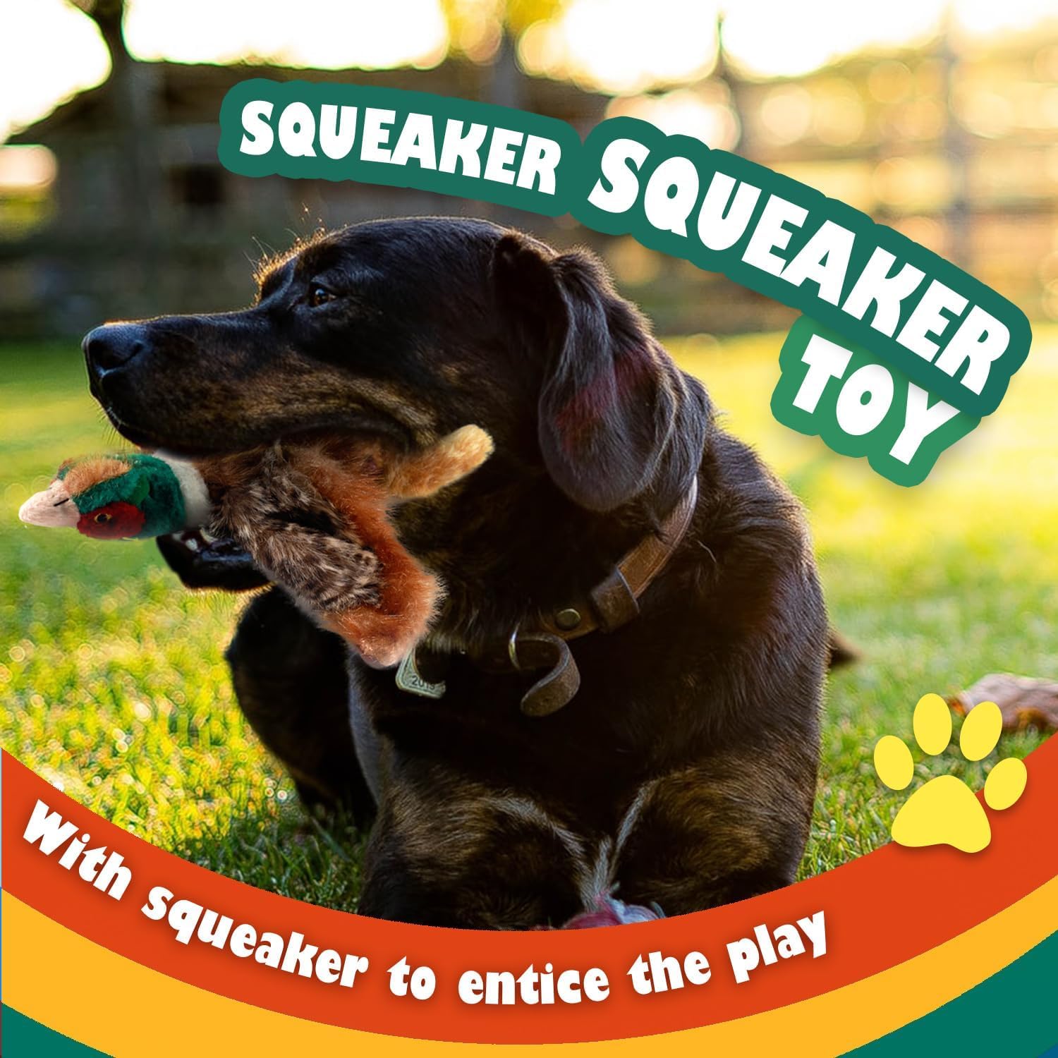 All For Paws Perro Juguete con Squeaker