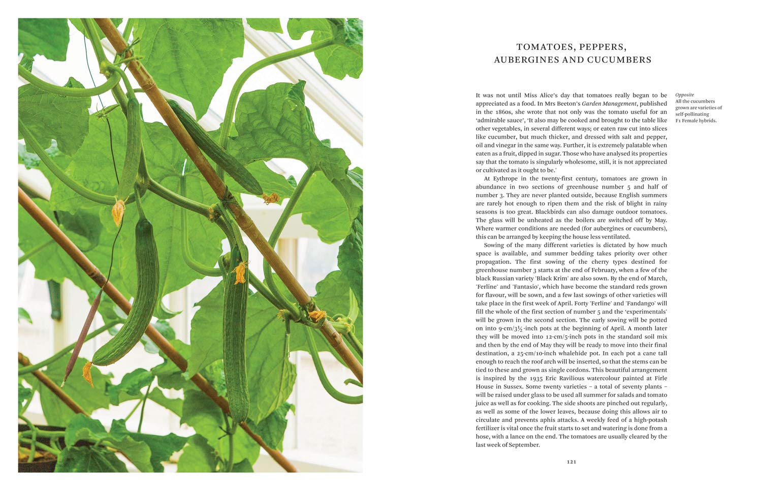 Paradise and Plenty: A Rothschild Family Garden
