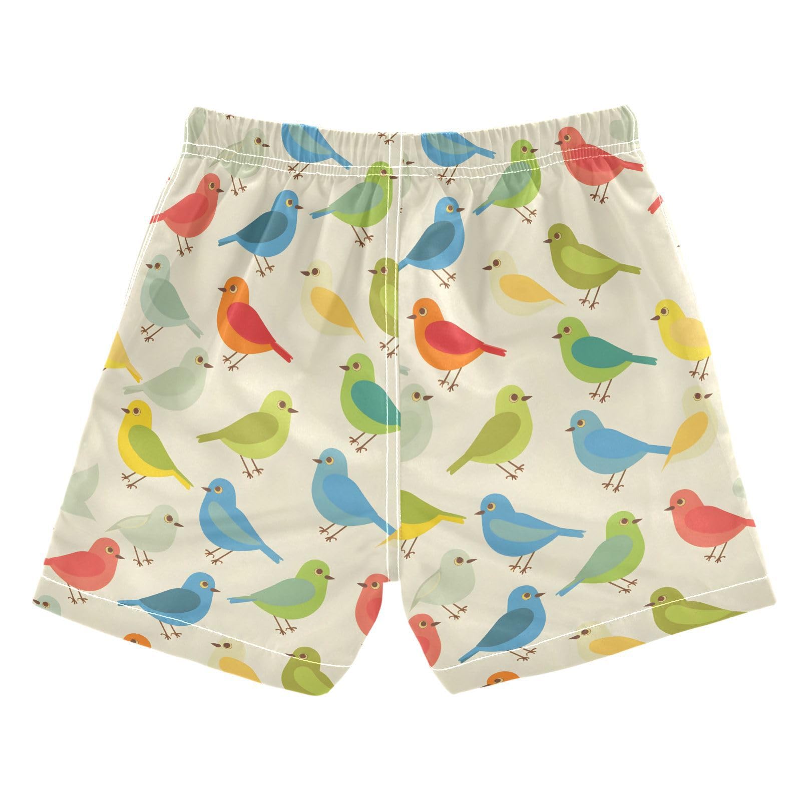 ALAZA Bird Cartoon Colorful Boys' Swim Trunks Beach Shorts Quick Dry Swimsuit 3T