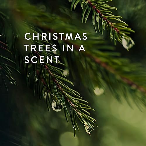 Miniatura 3 de Thymes Frasier Fir Heritage - Vela perfumada de 4 mechas para fragancia del hogar (21 onzas)