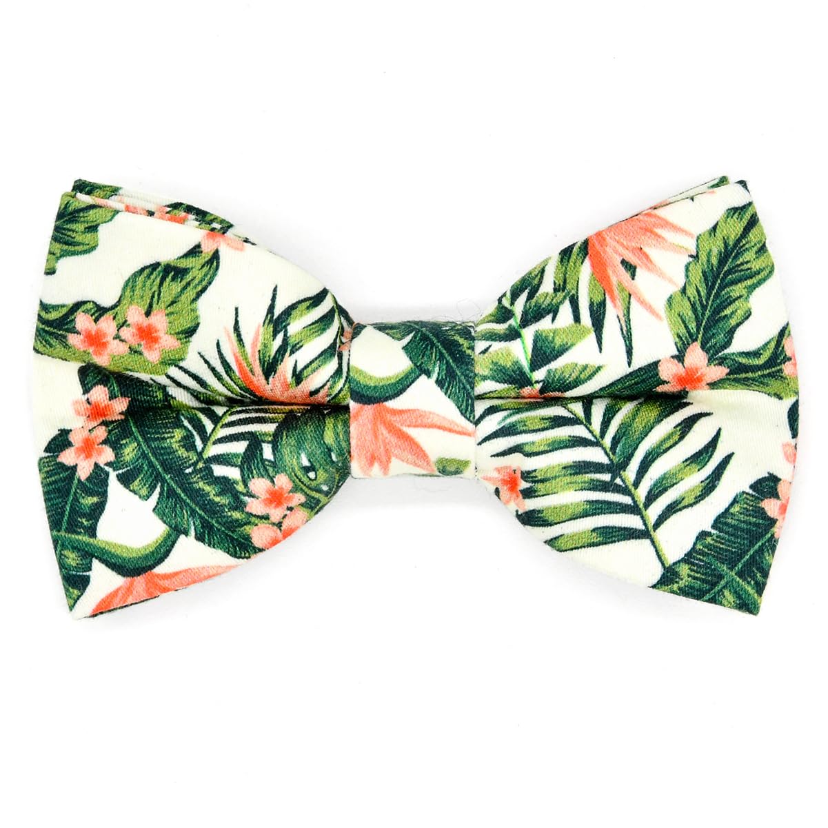 Strelizia Cat Bowtie with Collar, Breakaway Safety Kitten Collar, Summer Flower Floral, Cat Accessories, XXS (6" - 10") - Image 4