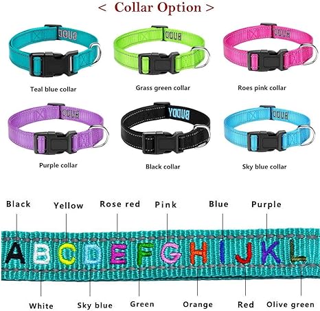 buddy pet collar