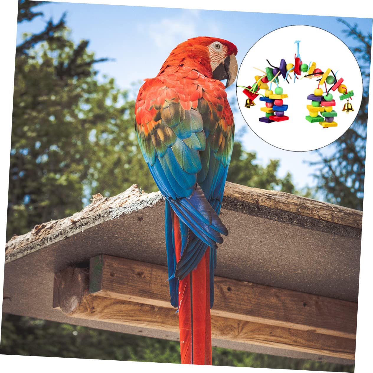 BESPORTBLE 3pezzi Giocattolo Per Pappagallo Legno Colorato Giocattolo Da Masticare Per Uccelli Accessorio Per Gioco Degli Uccelli Divertente e Resistente Per Pappagalli