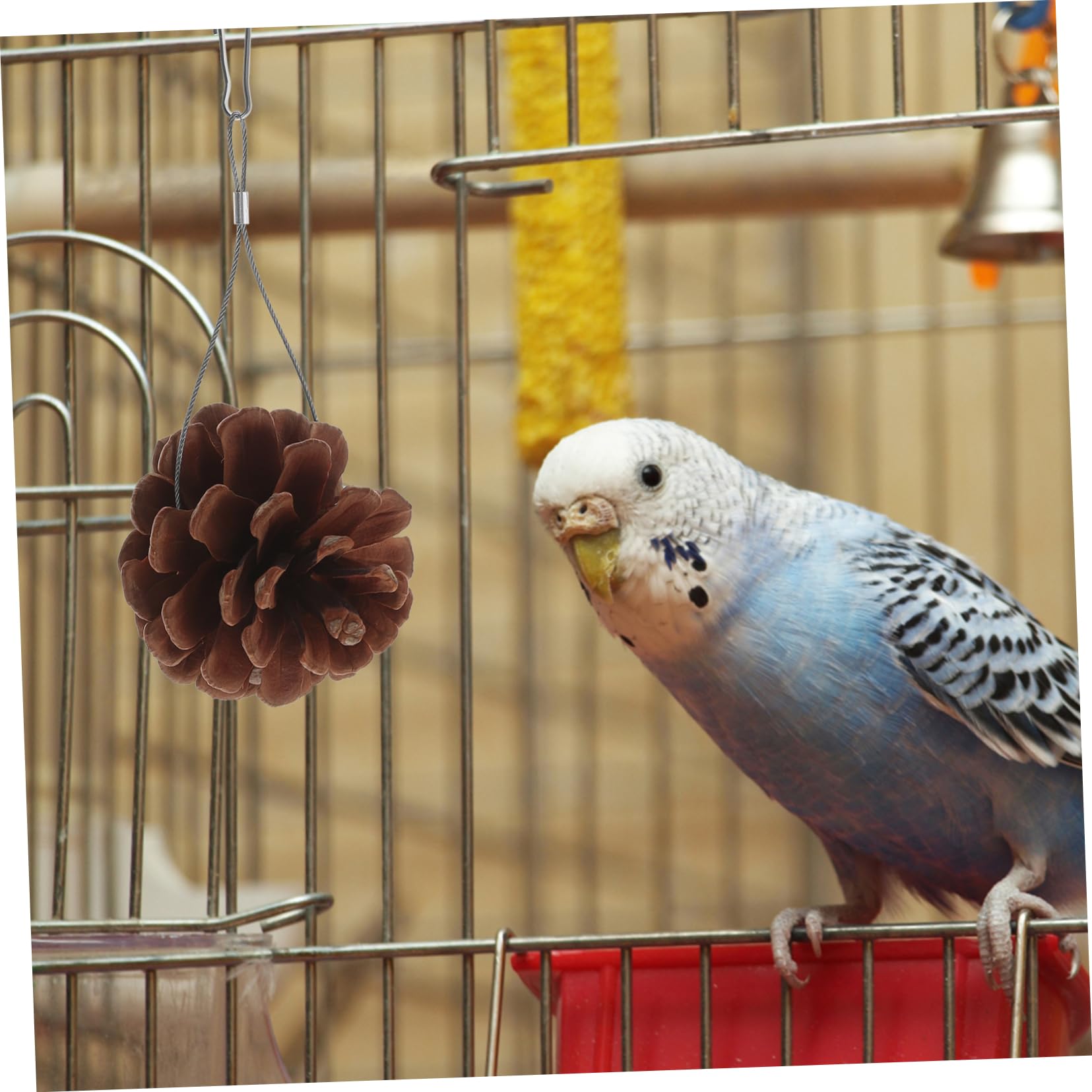 BESPORTBLE 30piezas Juguete De Forrajeo Natural para Aves y Periquitos De Piñas De Pino Juguete Masticable Seguro para Mascotas para Estimulación y Entretenimiento De Pájaros