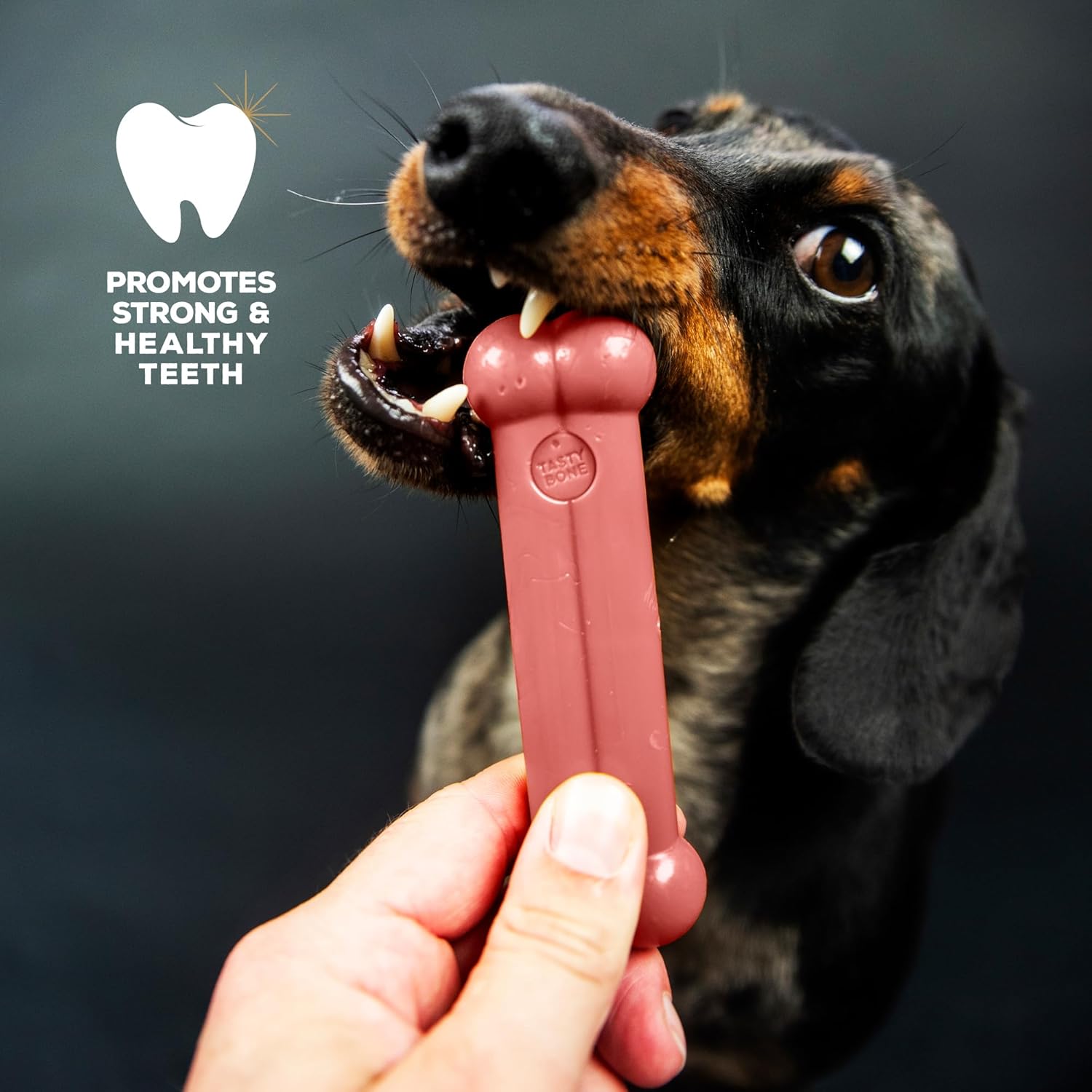 Tastybone Toy Bacon