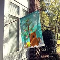 Vista 557 de Caroline's Treasures BB4243GF Bandera de jardín con texto en inglés «Merry Christmas» con texto en inglés «Merry Christmas», bandera decorativa