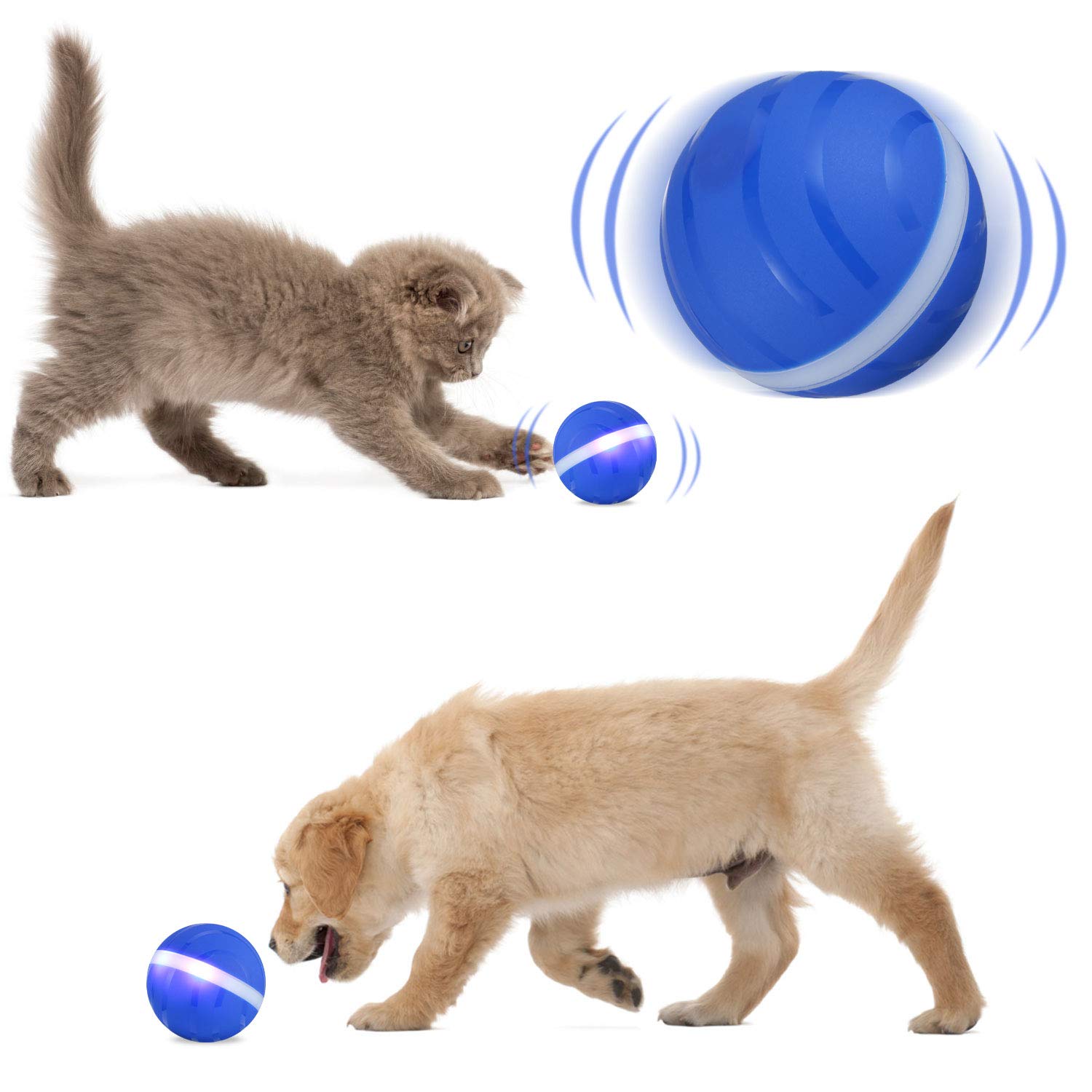 smart ball for dogs