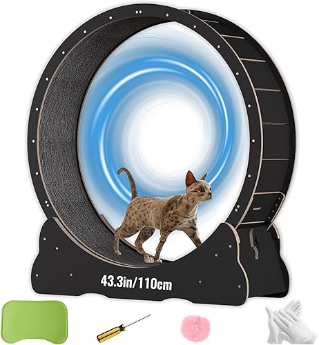 Miniatura 9 de Ejercitador de ruedas para gatos de interior con pasador de bloqueo. Rueda de ejercicio para gatos de gran diámetro hecha de madera maciza natural.