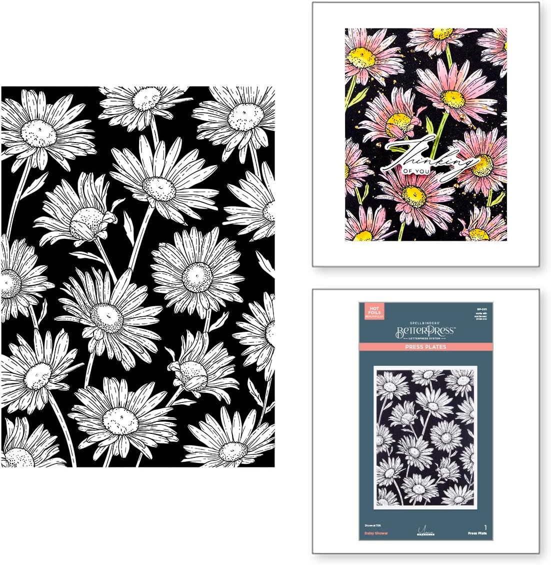 Spellbinders BP-301 Daisy Shower Press Plate from the Yana's Daisies Collection by Yana Smakula