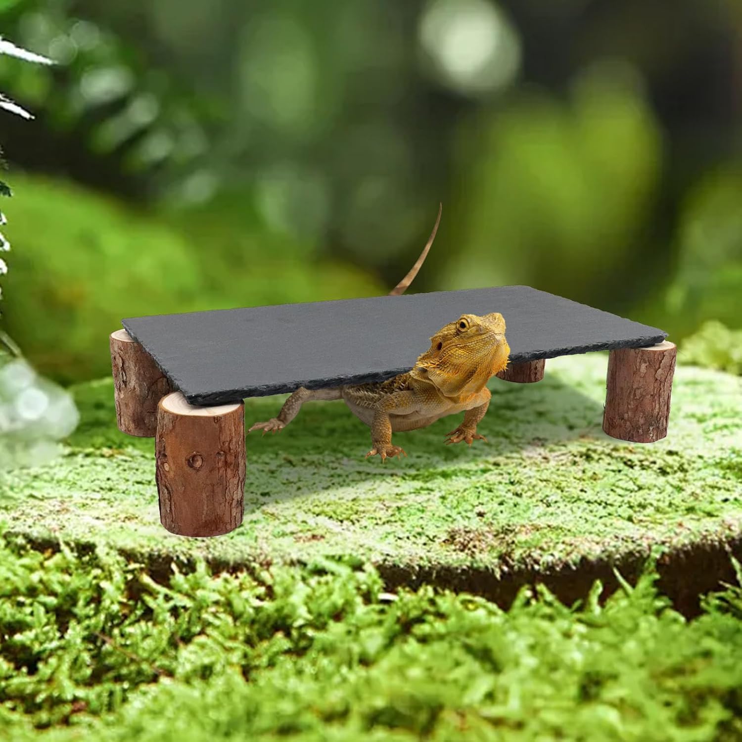 Bartagamen-Sonnenplattform, Schiefersteine für Reptilien mit Holzstapel, Verstecke und Höhlen für Leopardgeckos, Reptilien-Terrarien-Zubehör für Geckos, Ball-Pythons, Schildkröten - 40 × 20 × 7,8 cm