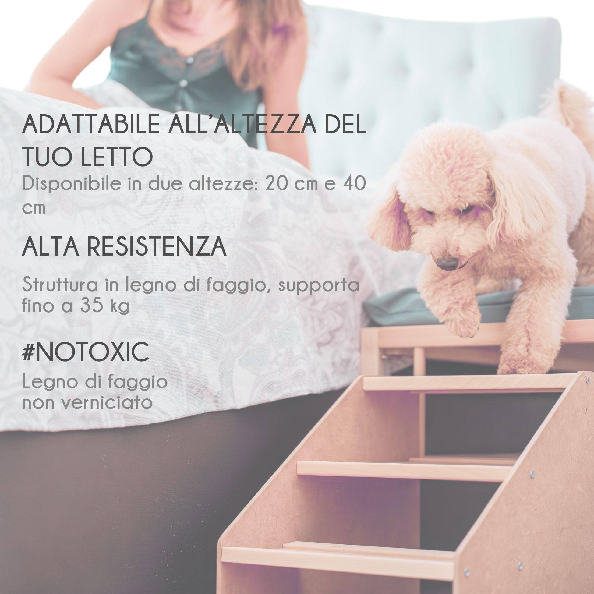 Letto rialzato Animali domestici con scala. con materasso incluso antigraffio. Colecho Accanto al tuo cane o gatto. 2 altezze. per animali domestici, medi, piccoli o anziani. Faunatic Basic CoolDreams