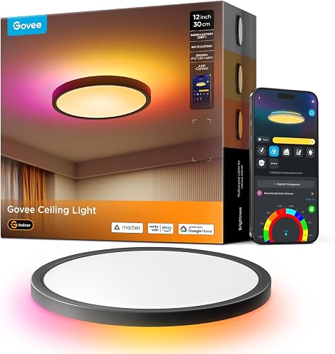 Govee RGBIC Smart Deckenleuchte 24 W (Ø30 cm)