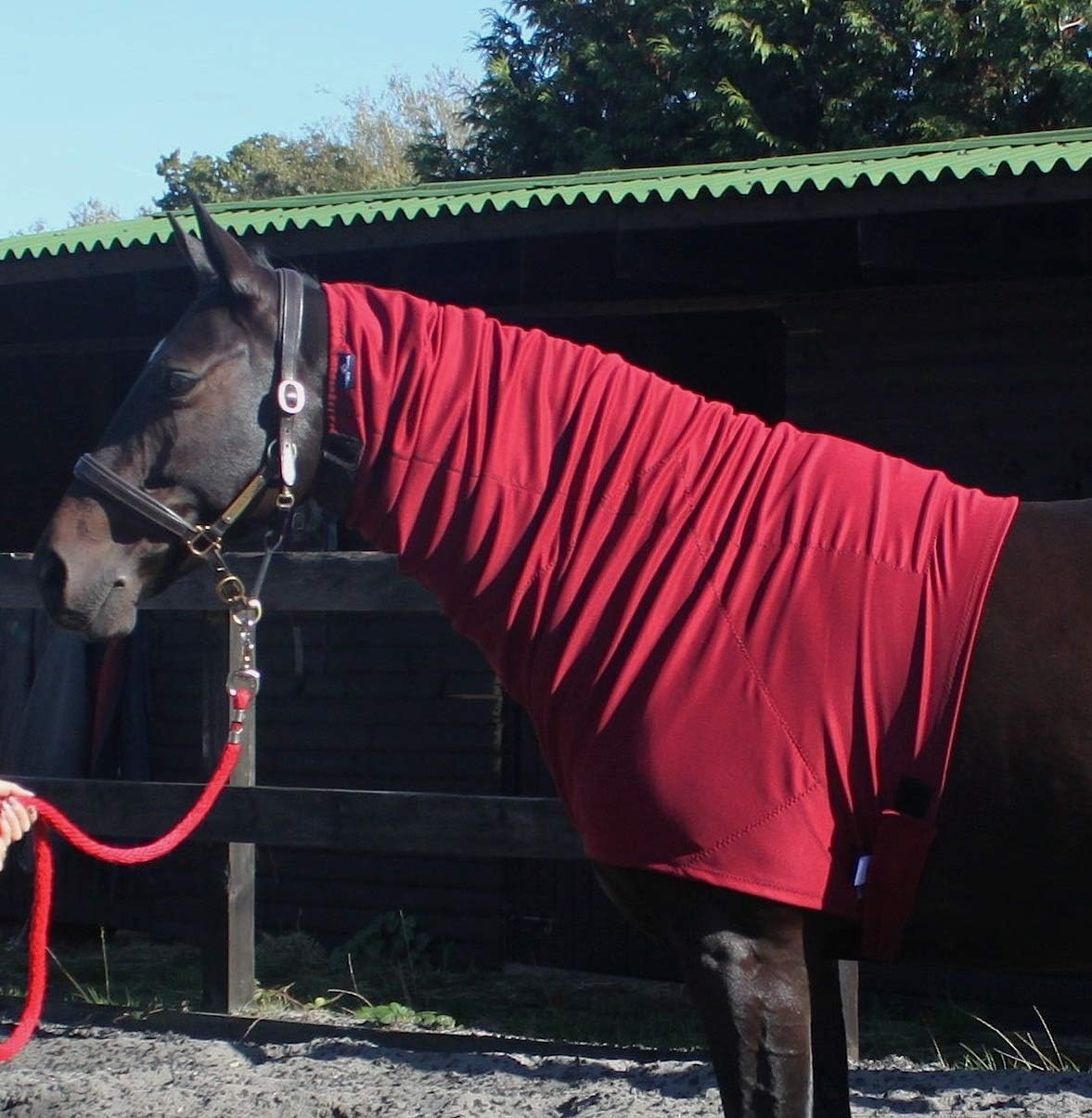 Headless Turn Out Hood for Horses | Weatherproof Hood for Pony | Quality by Snuggy Hoods | Pull-On Version | 3 Colours, 8 Sizes (Black, M)