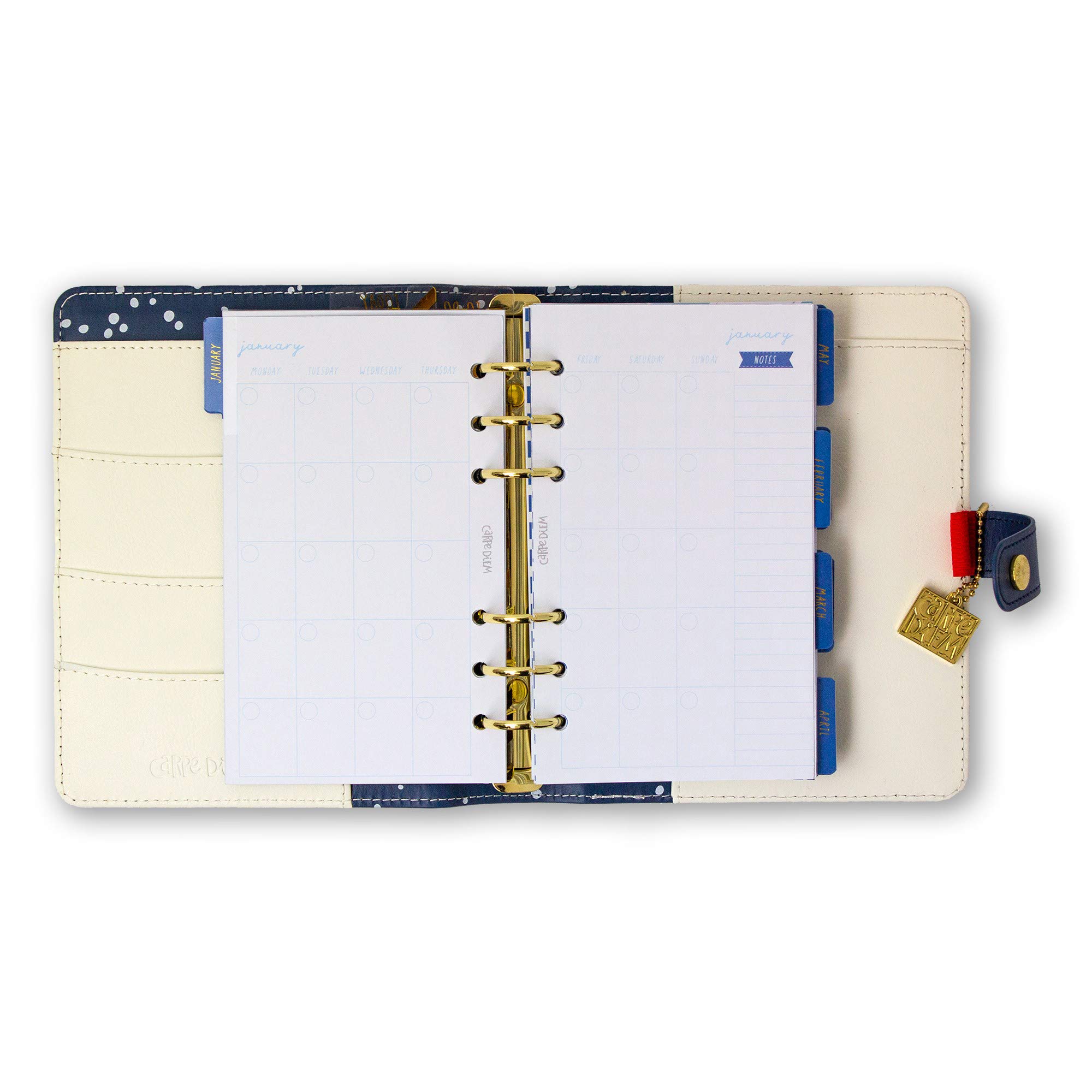 Pukka Pad, Carpe Diem Agenda Personale con Inserti Settimanali, Mensile Non Datato, 20 x 19 x 4 cm, Color Wash