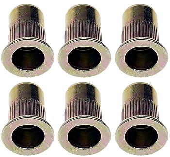Amazon.com: Dorman 963-254D: Rivet Nut - M6 : Automotive Amazon.com: Dorman 963-254D: Rivet Nut - M6 : Automotive