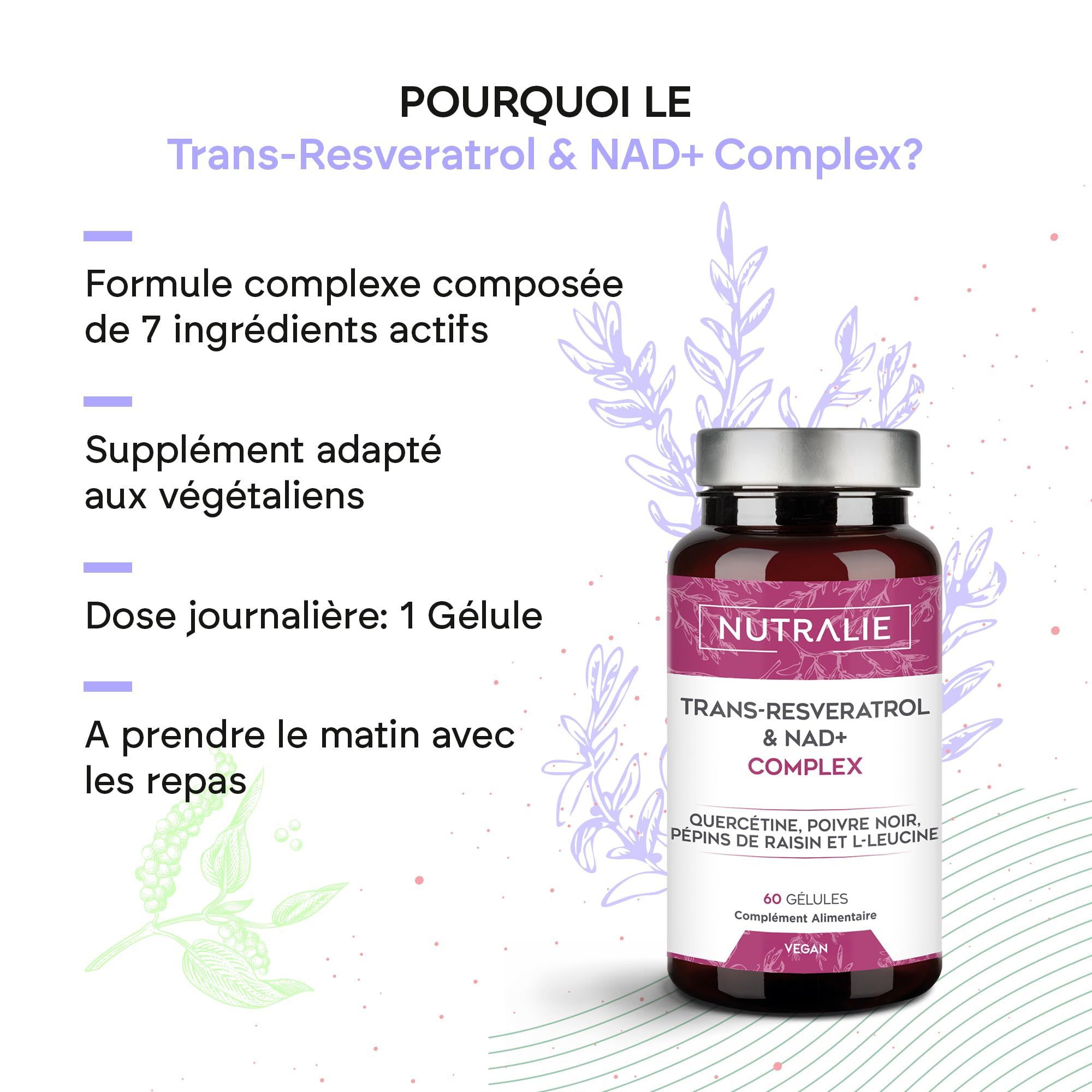 Trans Resvératrol NAD+ 686mg Complex - Quercétine Pipérine Pépins de Raisin (OPC) L-Leucine - Complément Alimentaire Revératrol - 60 Gélules Nutralie