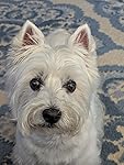 Review Image by Brisco Brisco