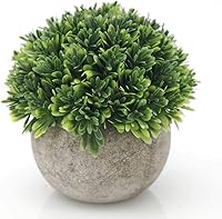 Vista 14 de Velener Mini Plantas Artificiales de Boj Topiario en Maceta Verde Salvia para Decoración del Hogar Interior, Planta Estilo Granja para Casa Oficina