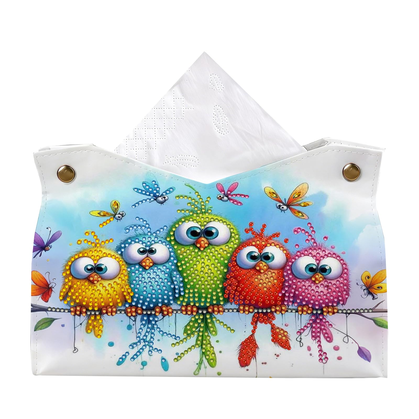 POETRYDRAW Colorful Bird Diamond Art Tissue Box for Adults & Beginners