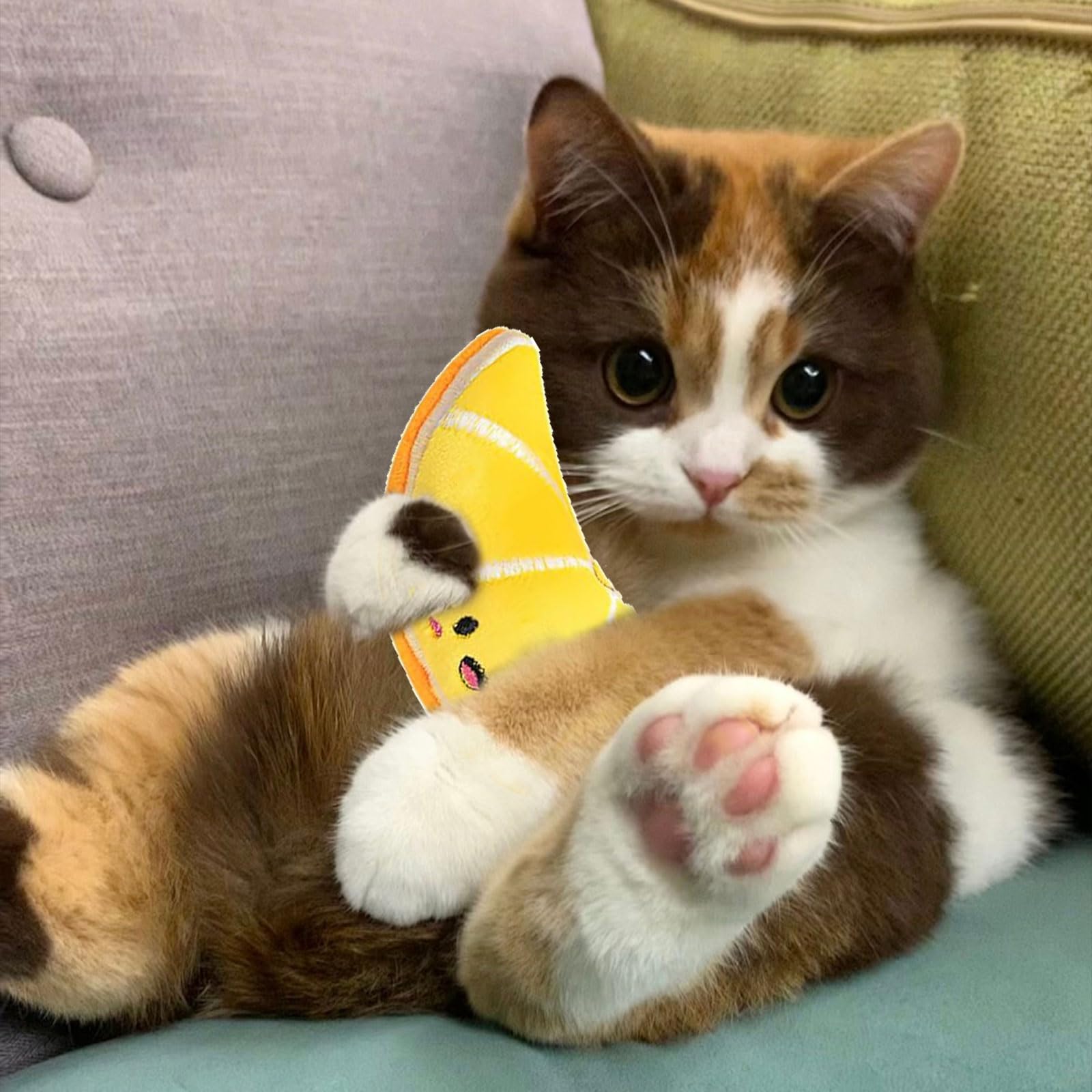 Moguri 4 szt. zabawki z kocimiętką, zabawka dla kota z kocimiętką, zabawka dla kota do samodzielnej zabawy Catnip Toy Cat Toys, poduszka z kocimiętką pluszowa zabawka dla kotów