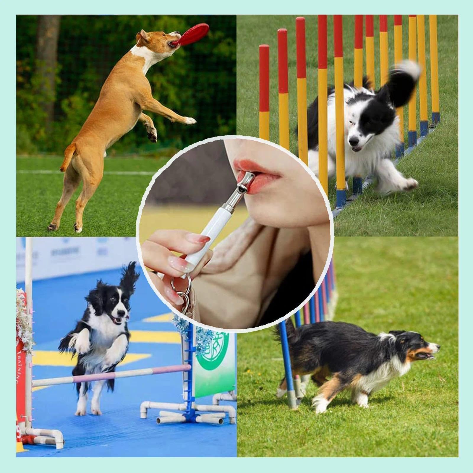 2 Pack Fischietto per Cani, Silenzioso Fischietto Ultrasuoni per Cani Richiamo, Alta Frequenza, Regolabile Fischietto Antiabbaio con Cordoncino, Adatto per La Maggior Parte delle Razze