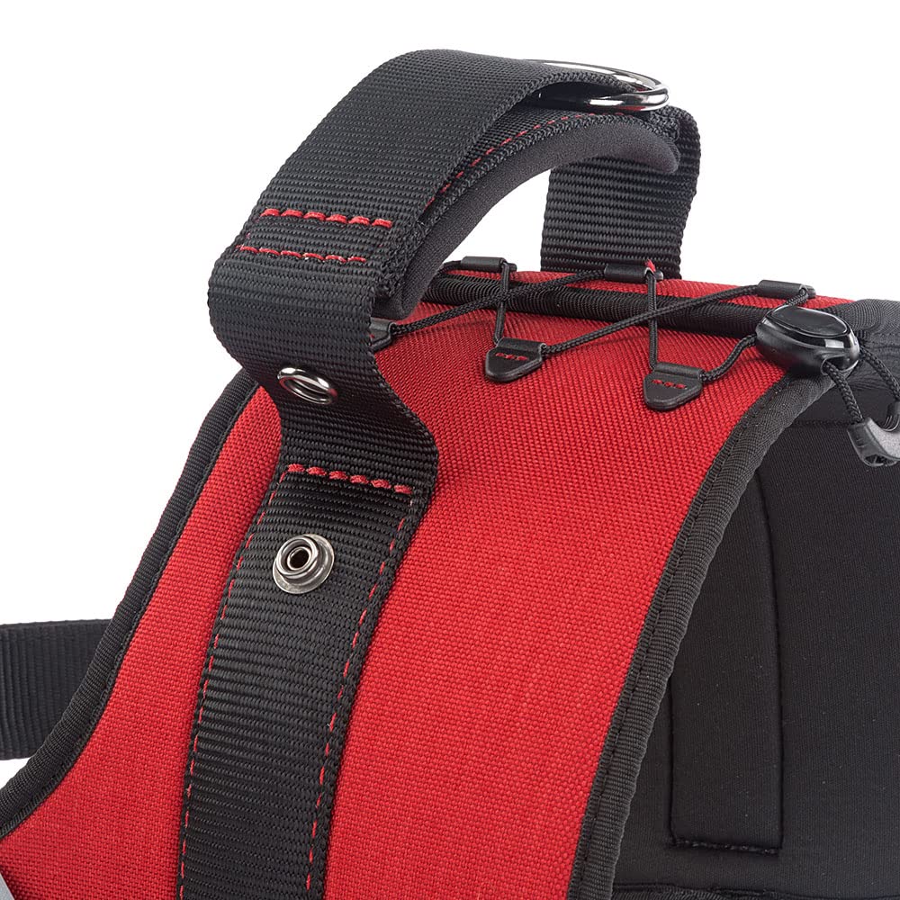 Ferplast Arnés para Perros Hercules XXL, Acolchado, Resistente, Anti-rasguños, Visible en la Oscuridad, con Asa