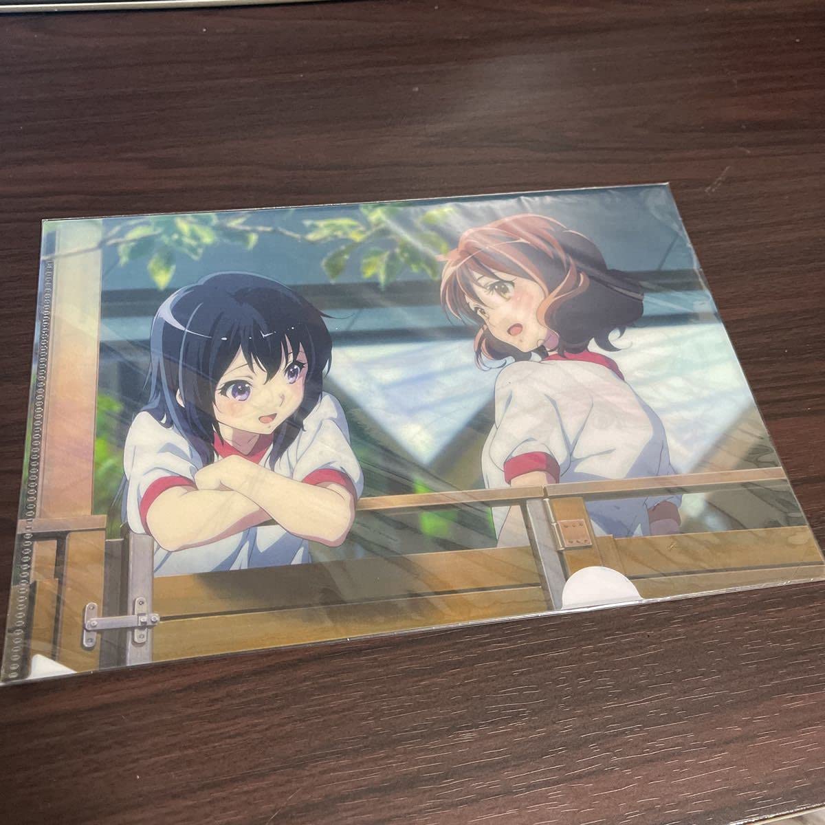 Amazon.co.jp: 響けユーフォニアム2 A5クリアファイル+イラスト  