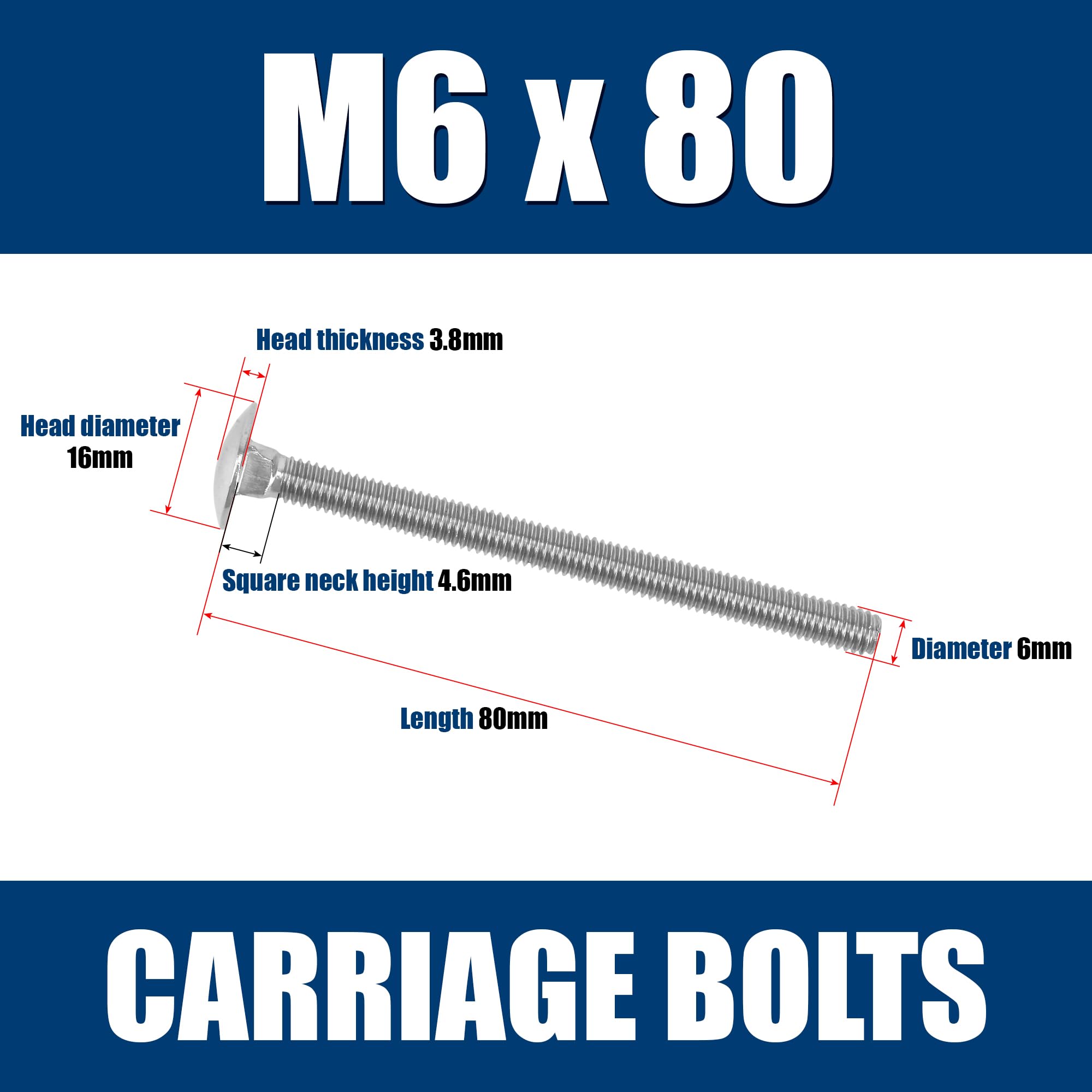 M6 Stainless Steel Carriage Bolts - 10 Pack -2