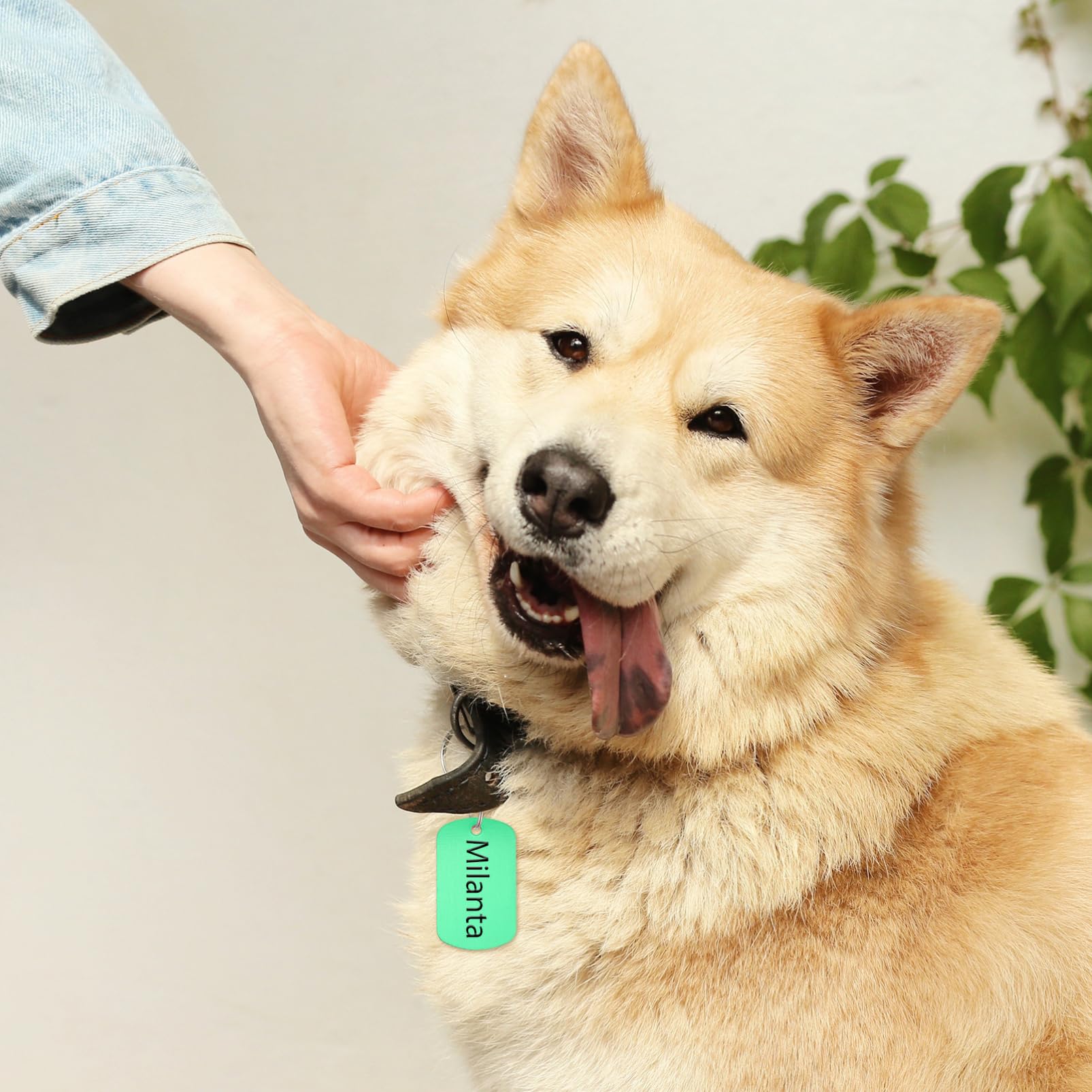 Sosoport 4 Sätze Maßgeschneiderte Haustiermarken Hundemarken Identitätsmarken für Hunde und Katzen Haustiermarken Aus Legierung Personalisierte Haustier-id Stück * 4