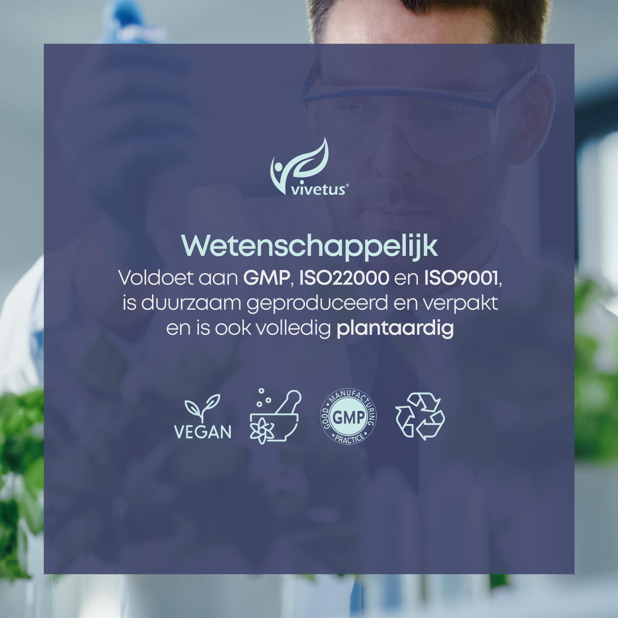 Quercetina - 60 capsula - 500 mg