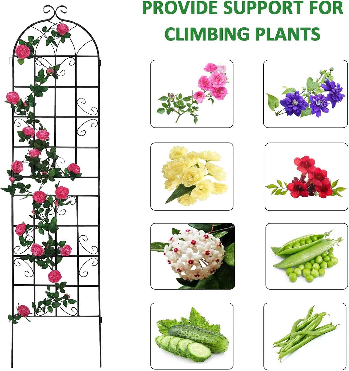 2 Pack Garden Trellis for Climbing Plants 86.7'' x 19.7''，Black Metal Garden Trellis，Heavy Duty Rustproof Plant Trellis for Rose Vine Vegetable Cucumber…