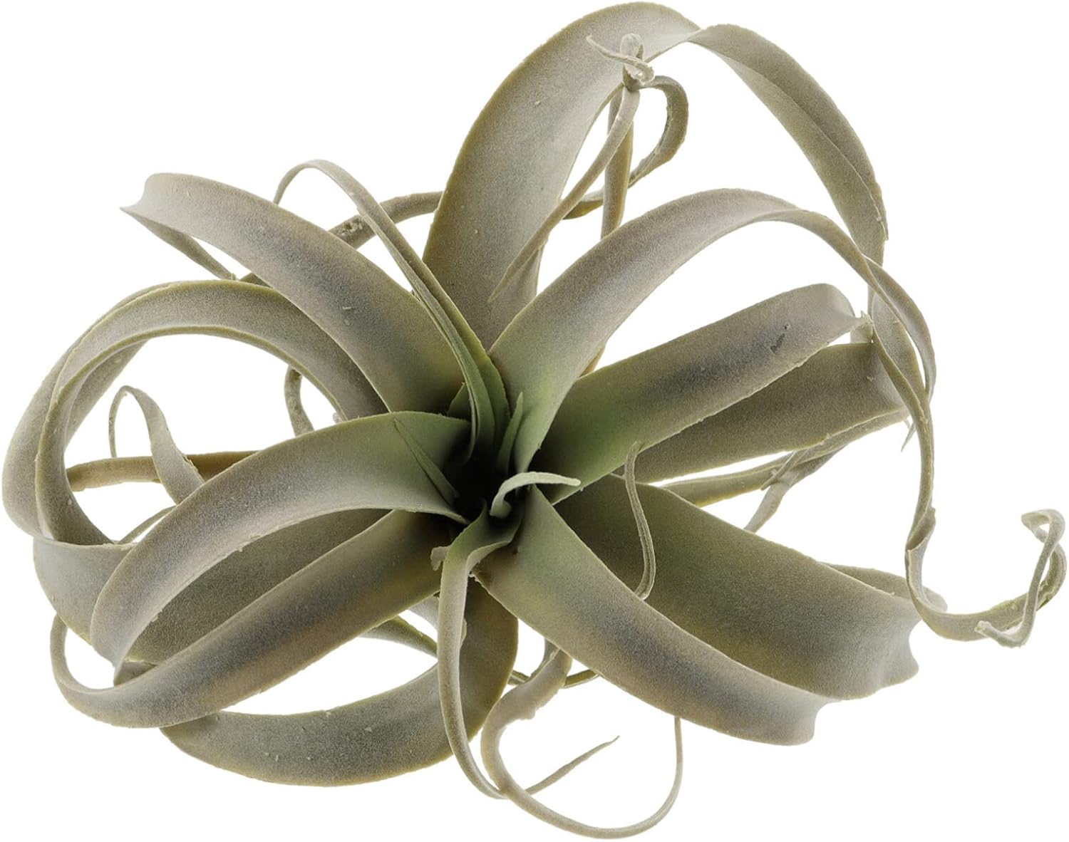 Homoyoyo Simulation Tillandsia Artificial Plants Outdoor