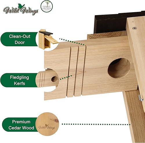 Miniatura 4 de Wild Wings WWCH3 Cedro Blue Bird Box House