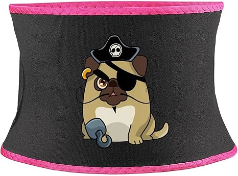 Amazon Co Jp おもしろ パグ 犬 アニメ ウエストニッパー コルセット ダイエット 女性 シェイプアップベルト 補正下着 お腹 引き締め くびれ 姿勢改善 背筋 腰サポート 背中サポーター バストアップ 二重加圧 産後 インナーウェア ルームウェア 伸縮性 ブラック