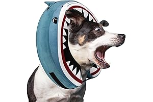 Shark Themed Inflatable Collar for Post-Surgery Canine Recovery