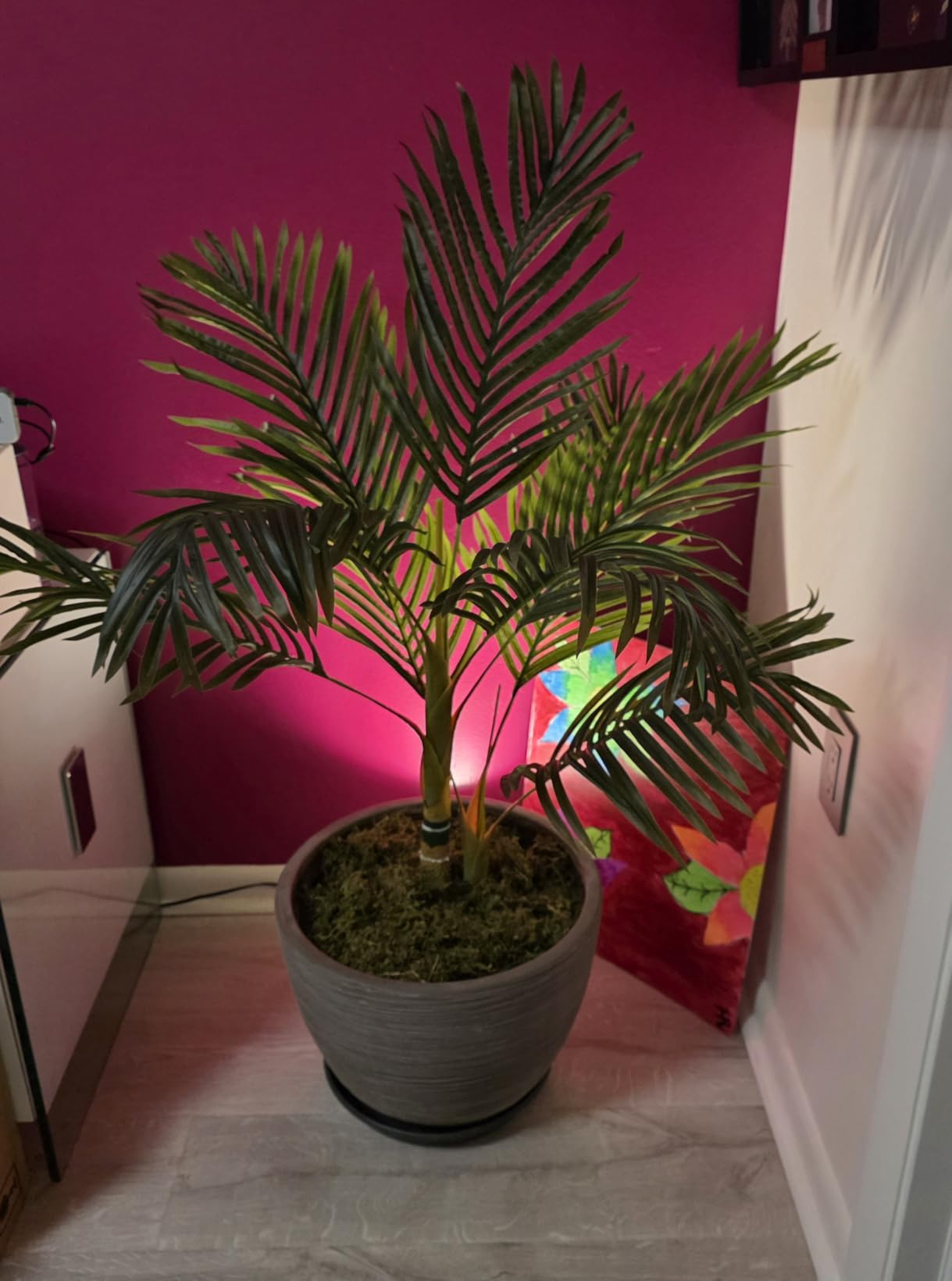 Customer Image