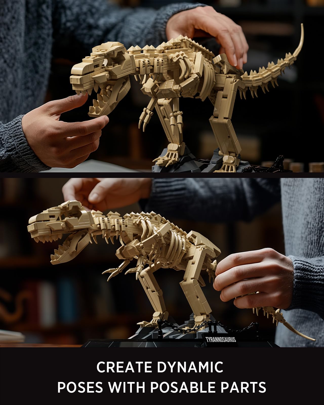 Nifeliz Skamieniałości dinozaurów Zestaw do budowy czaszki T. Rex dla dorosłych, makiety dinozaurów do zbudowania, dekoracja i prezent (826 części, NF10343)