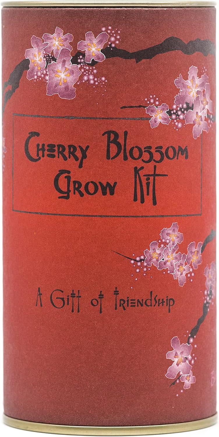 Buy Japanese Flowering Cherry Blossom Tree Seed Grow Kit The