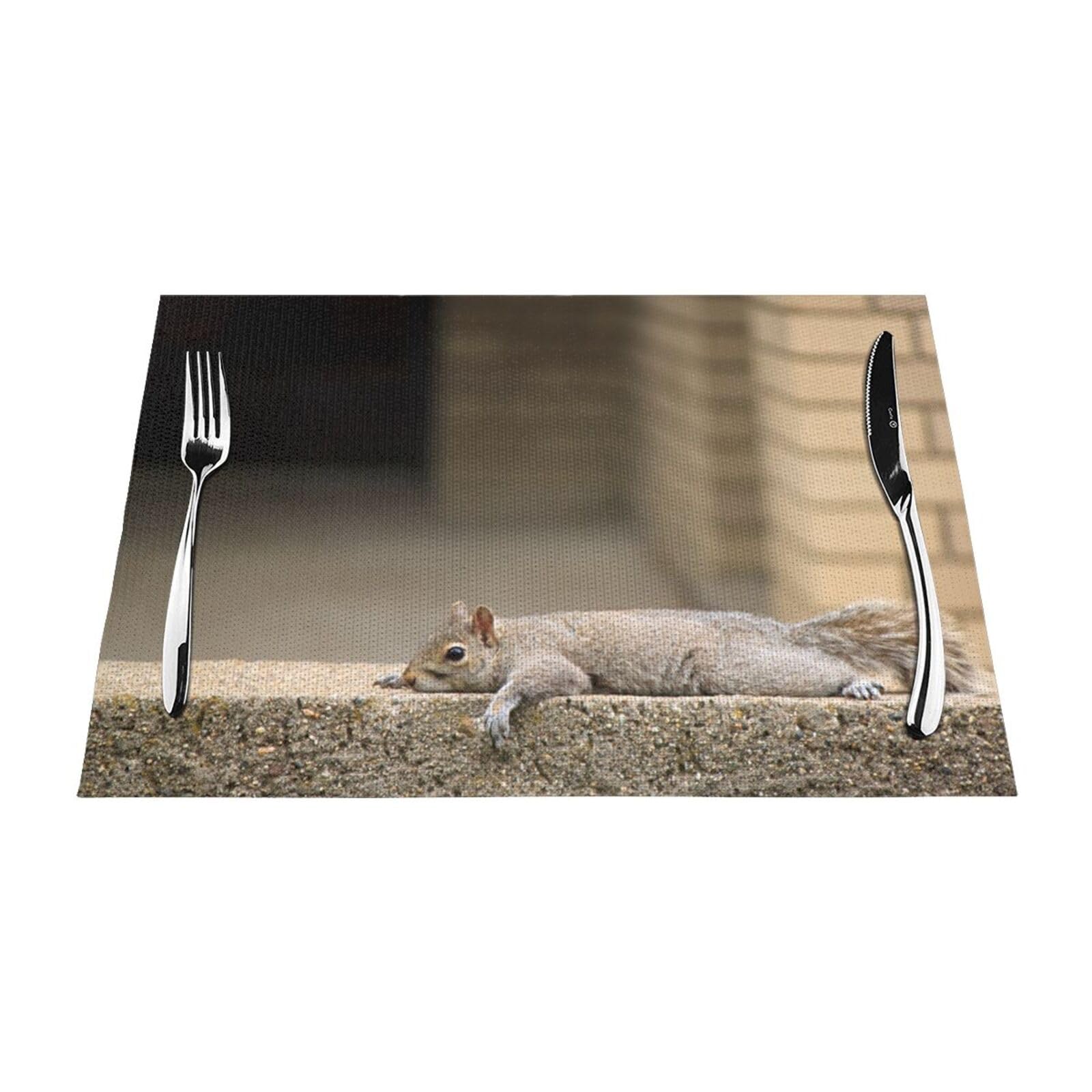 PVC Placemat Set of 1 PCS, 45x30 CM, Squirrel Just Laying Printed Non-Slip Heat Resistant Place Mats for Kitchen Dining Table Indoor Outdoor
