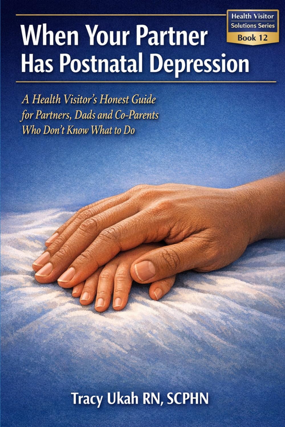 WHEN YOUR PARTNER HAS POSTNATAL DEPRESSION: A Health Visitor's Honest Guide for Partners, Dads and Co-Parents Who Don't Know What to Do (The Health Visitor Made Easier Series)