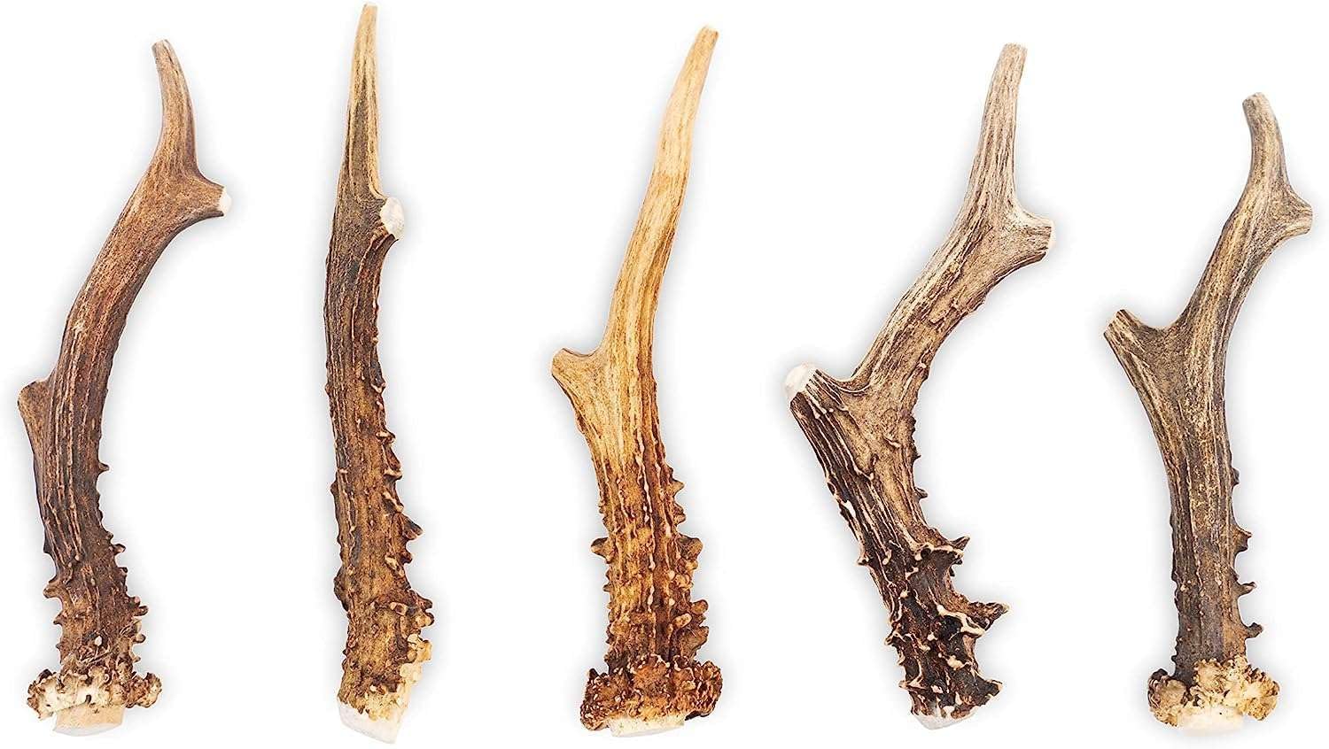 RF-Deer Bois de Chevreuil pour Chien, Hard L, 18-22 cm, 0,5 kg | 100 % naturel, sans colorants ni conservateurs, riche en minéraux, 5-13 pièces par lot de 0,5 kg, sans additifs