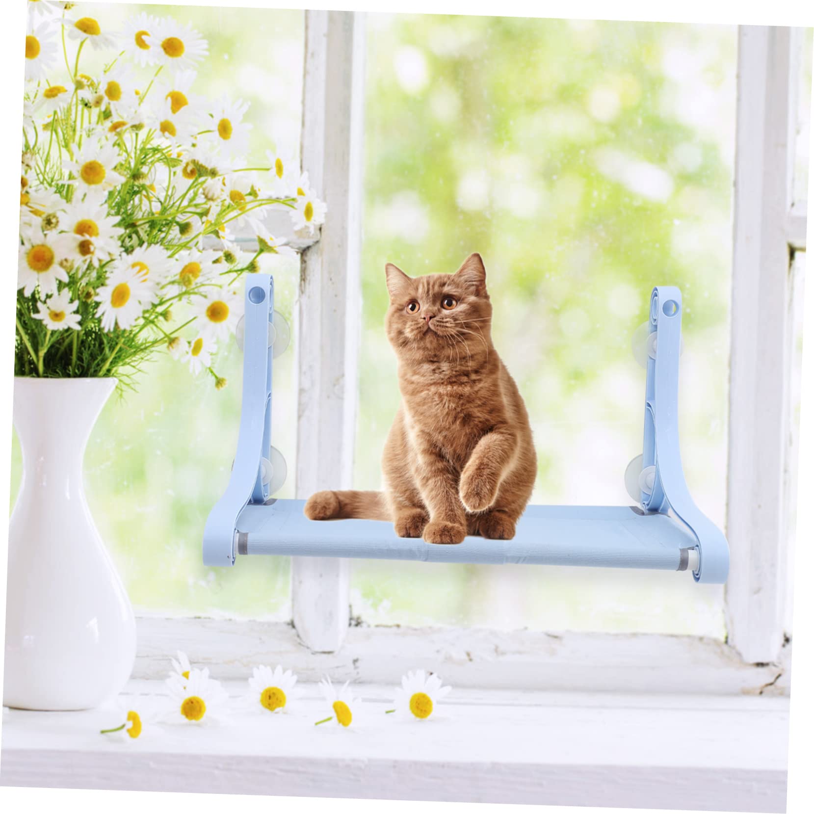 ibasenice Cat Window Hammock with Strong Suction Cups Cozy Cat Sleeping Bed for Pets Comfortable Elevated Perch for Kittens for Indoor Use