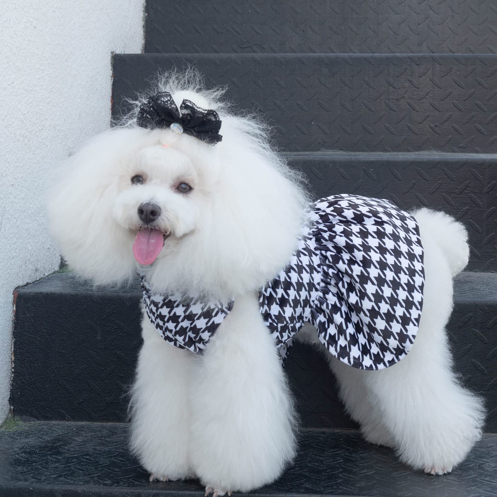 CuteBone costume cane velluto dolcevita cucciolo vestito con fiocco regalo compleanno CVD04S-IT