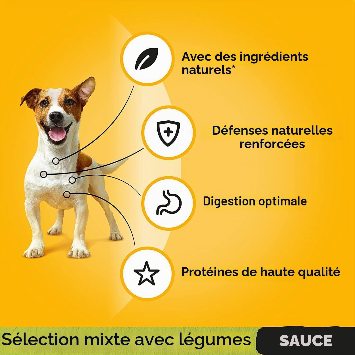 PEDIGREE - Adult Wet Dog Food Pouches - 40 x 100 g - Mixed Selection in Gravy - Dog Food Wet Bulk Pack