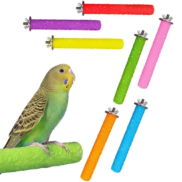 Foto 6 de 6 de YUMIN 7 Piezas Jaulas de Agarre para PáJaros, Perchas para Conures, Periquitos, Agapornis, CacatúAs