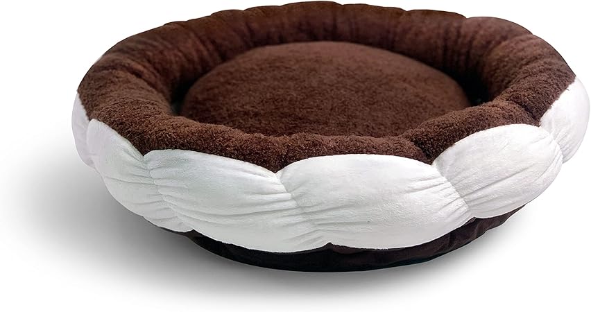 b&m cat beds